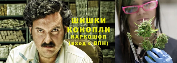 спиды Богданович