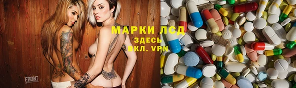 трава Бородино