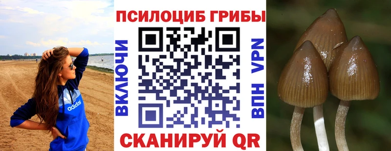 Псилоцибиновые грибы Magic Shrooms  Купить  Оленегорск 